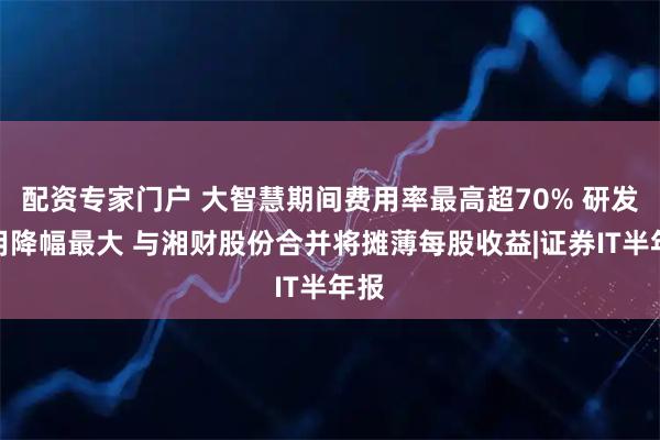 配资专家门户 大智慧期间费用率最高超70% 研发费用降幅最大 与湘财股份合并将摊薄每股收益|证券IT半年报